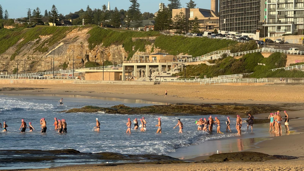 Sandrays Swim